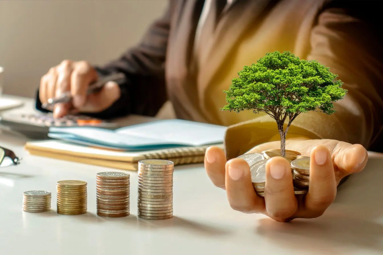 Personne en tenue professionnelle tenant des pièces avec arbre, image qui illustre la croissance durable et l’investissement en Private Equity.